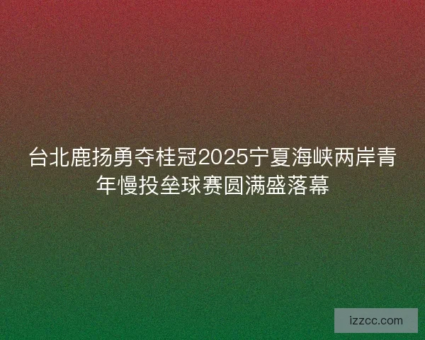 台北鹿扬勇夺桂冠2025宁夏海峡两岸青年慢投垒球赛圆满盛落幕