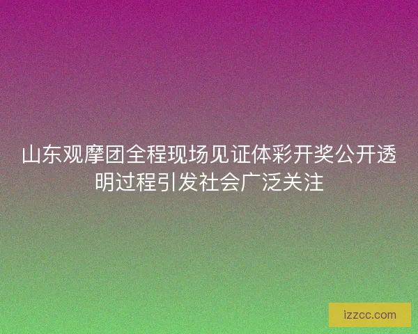 山东观摩团全程现场见证体彩开奖公开透明过程引发社会广泛关注